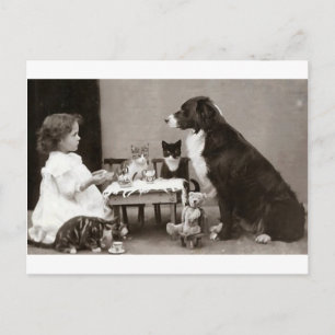 Tea Time Postcard