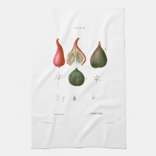 TEA TOWEL  BOTANICAL  REDOUT  FIGS