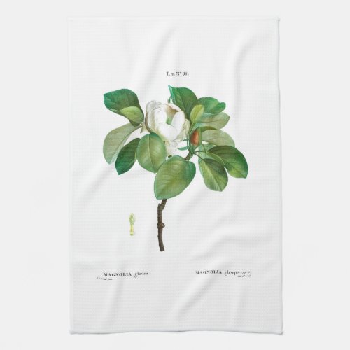 TEA TOWEL  BOTANICAL  REDOUT  MAGNOLIA