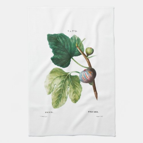 TEA TOWEL  REDOUT  FIGS