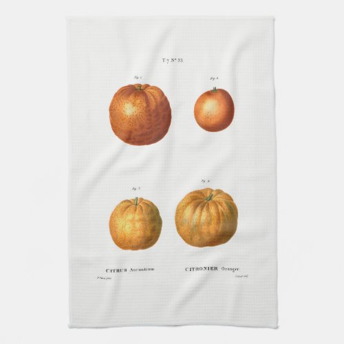 TEA TOWEL  REDOUT  ORANGES