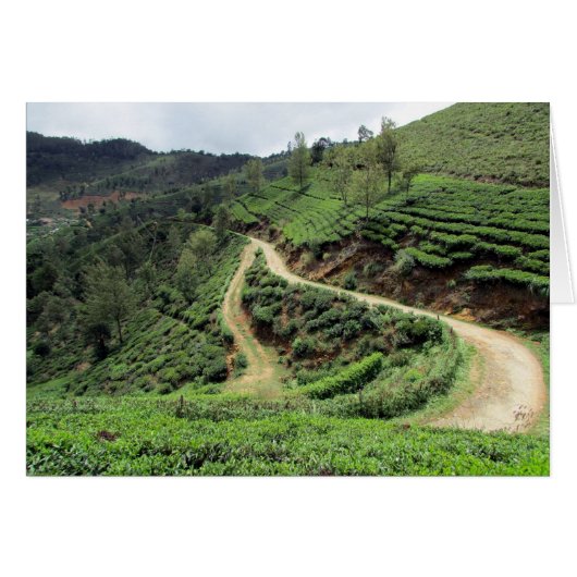 tea trails cards (Front Horizontal)