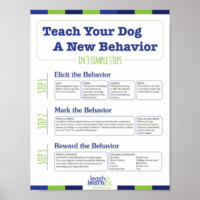 Teach Your Dog a New Behavior in 3 Easy Steps Poster (Front)