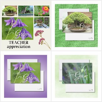 Teacher and Educator Thank You Cards 
