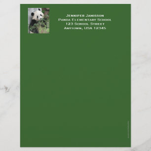Teacher Appreciation Stationery, Panda, Green Trim Letterhead