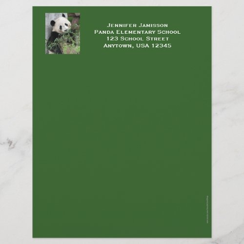 Teacher Appreciation Stationery Panda Green Trim Letterhead