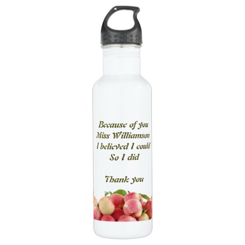 Teacher  BECAUSE OF YOU I BELIEVED I COULD Stainless Steel Water Bottle