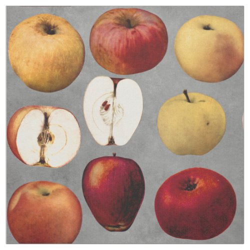 Teacher Red Golden Apples Fabric