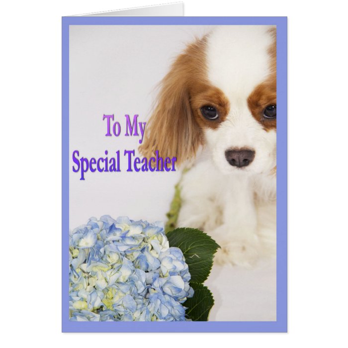 Teacher Thank You Doggie Card