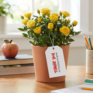 Teacher Thank You For Helping Me To Grow Signed Gift Tags