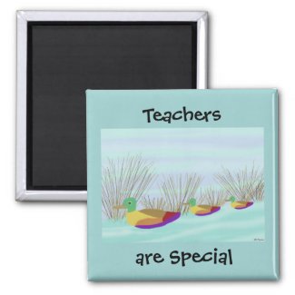 Teachers are Special Duck Magnet