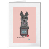 TEACHER'S PET CARDS (Front)