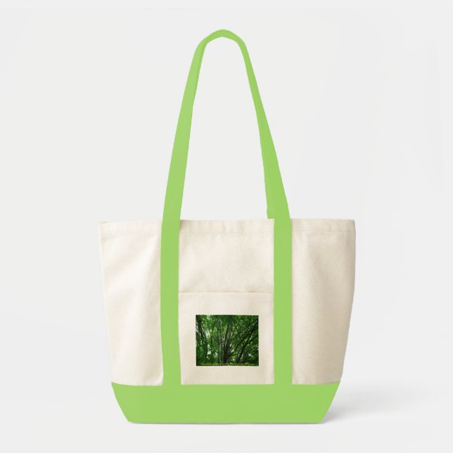 'Teachers plant seeds that grow forever' tote (Front)