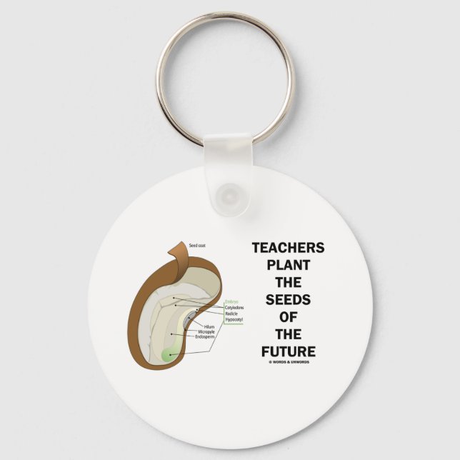 Teachers Plant The Seeds Of The Future (Bean Seed) Keychain (Front)