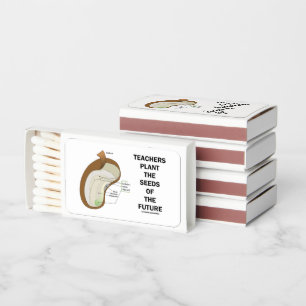 Teachers Plant The Seeds Of The Future Bean Seed Matchboxes