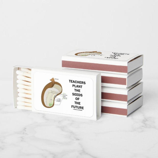 Teachers Plant The Seeds Of The Future Bean Seed Matchboxes (Stacked)