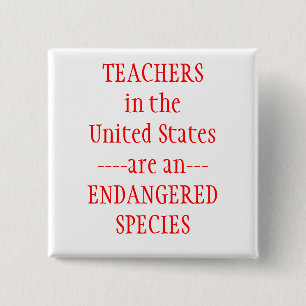 Teachers United States Pinback Button