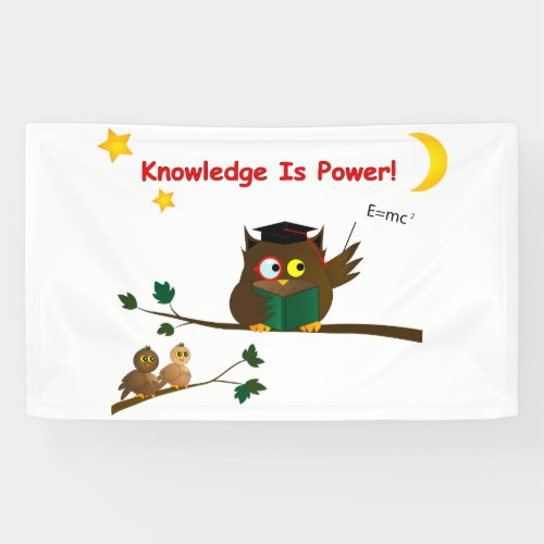 Teaching Wise Owl Banner