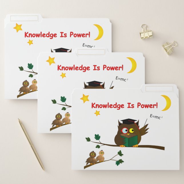 Teaching Wise Owl File Folder (Set)