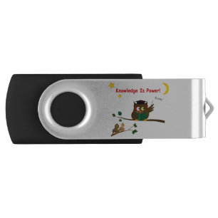 Teaching Wise Owl Flash Drive