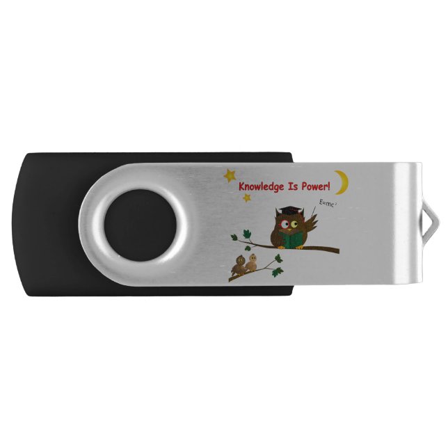 Teaching Wise Owl Flash Drive (Front)