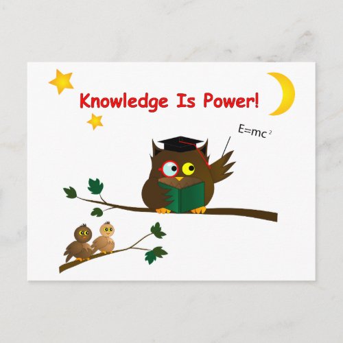 Teaching Wise Owl Postcard