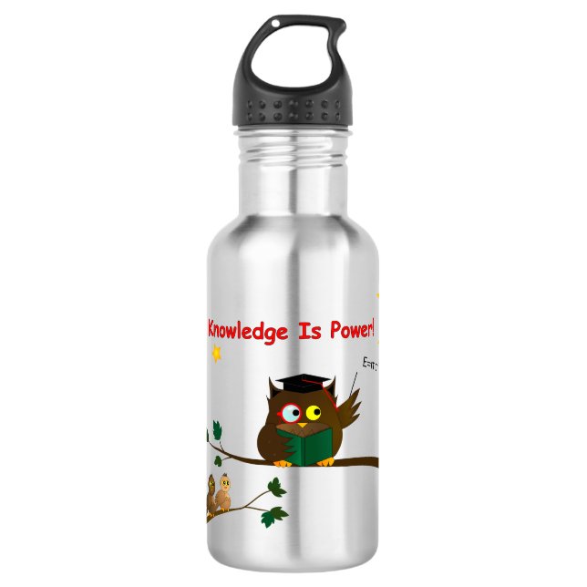Teaching Wise Owl Stainless Steel Water Bottle (Front)