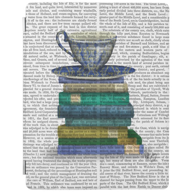 Teacup and Books iPad Air Cover (Front)