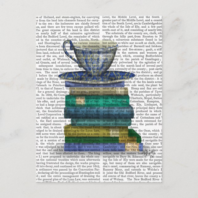 Teacup and Books Postcard (Front)