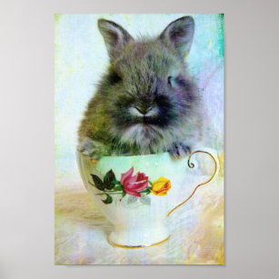 Teacup Bunny Poster
