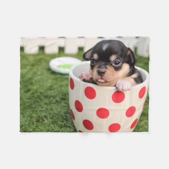 Teacup Chihuahua Puppy Fleece Blanket Zazzle Com