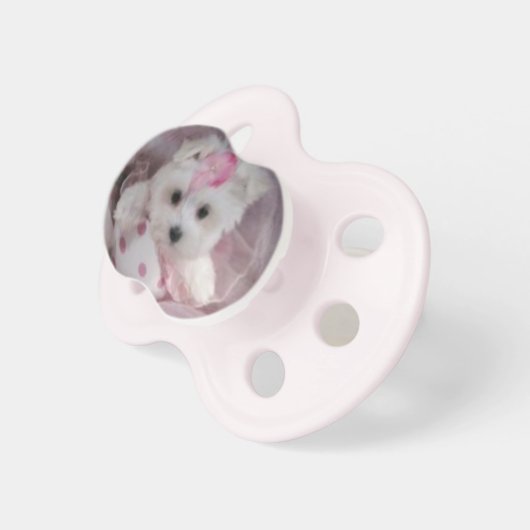 Teacup Maltese Puppy Baby Girl Pacifier (Front Right)