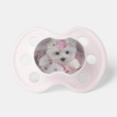 Teacup Maltese Puppy Baby Girl Pacifier (Front)