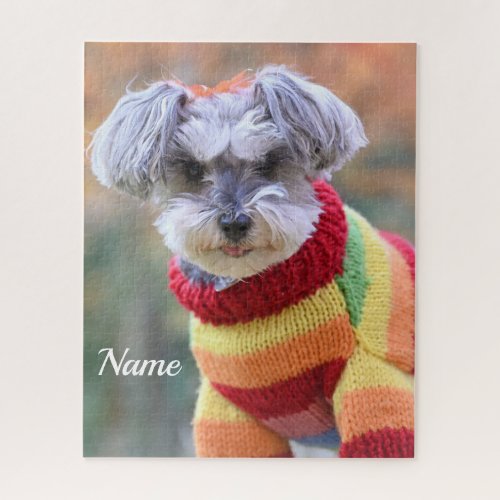 Teacup Schnauzer Puppy Dog in a Sweater Jigsaw Puzzle