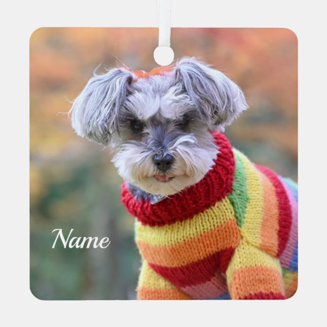 Teacup Schnauzer Puppy Dog in a Sweater Metal Ornament (Back)