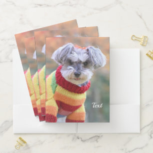 Teacup Schnauzer Puppy Dog in a Sweater Pocket Folder