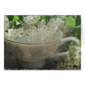 Teacup Still Life (Front Horizontal)