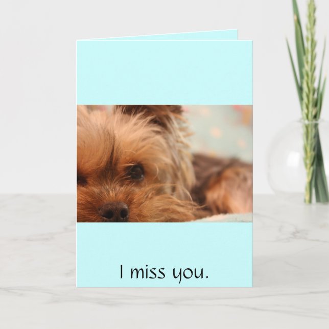 teacup yorkie puppy card (Front)
