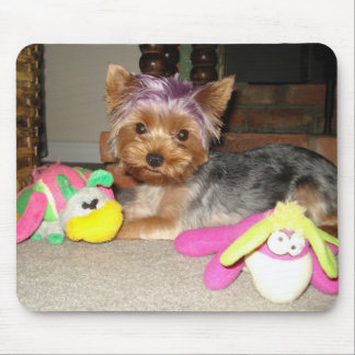Teacup Yorkie Purple Princess  Mouse Pad