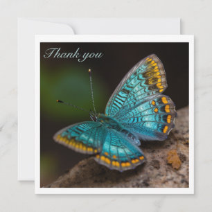 Teal and Gold Tropical Butterfly Thank You Custom 