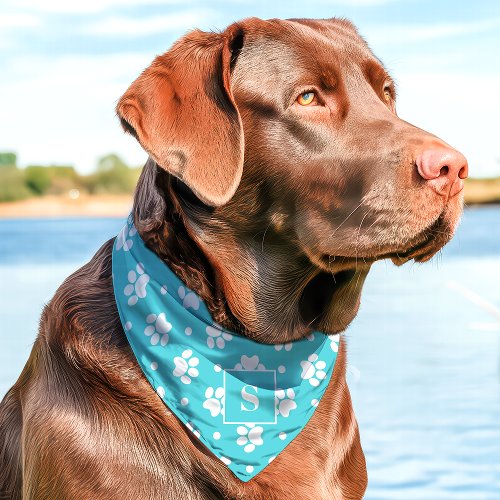 Teal And White Polka Dot Paw Print Monogram Pet Bandana Collar