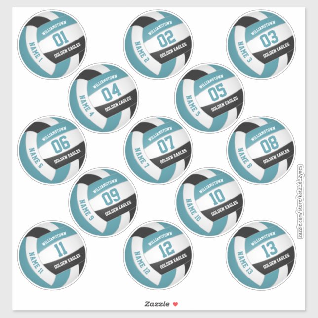 teal black 13 custom players names volleyball sticker (Sheet)