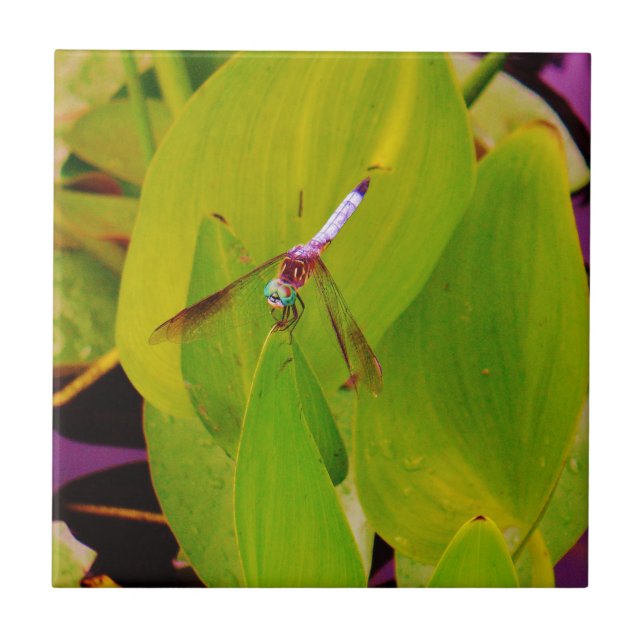Teal Blue Dragonfly on Green Leaf. Ceramic Tile (Front)