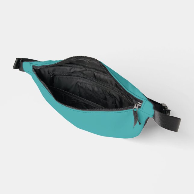 Teal Blue Fanny Pack (Open)