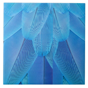 Teal Blue Feathers of the Macaw Parrot Ceramic Tile