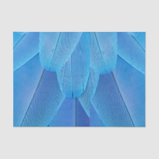 Teal Blue Feathers of the Macaw Parrot Tissue Paper