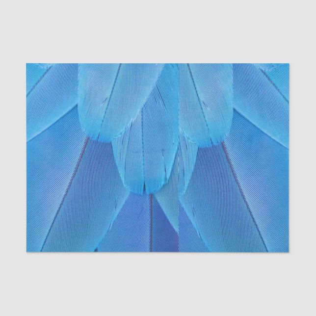Teal Blue Feathers of the Macaw Parrot Tissue Paper (Front)