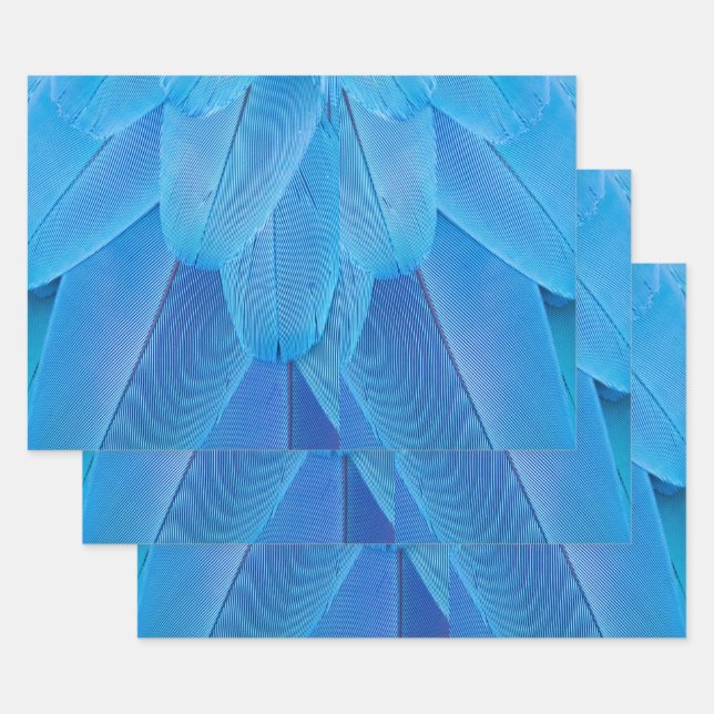 Teal Blue Feathers of the Macaw Parrot Wrapping Paper Sheets (Set)