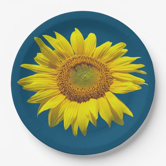 Teal Blue Single Sunflower Paper Plate (Front)