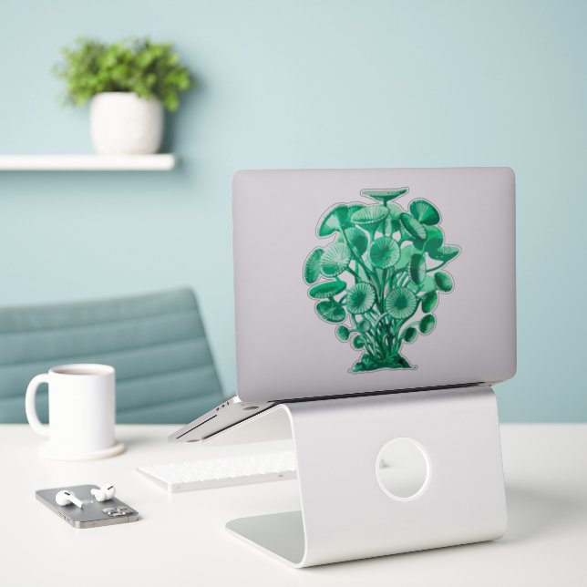 Teal Botanical Coral Sticker (Laptop On Desk)